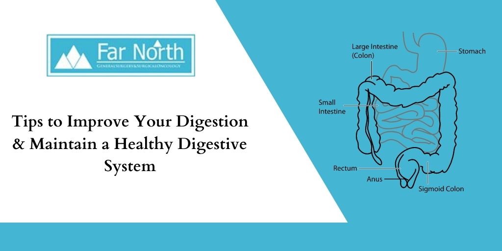 Tips to Improve Your Digestion & Maintain a Healthy Digestive System