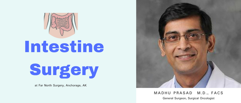 Small Intestine Surgery (Small Bowel Resection) | Anchorage, Alaska